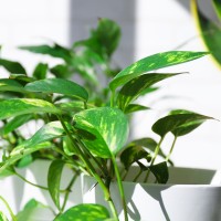 名古屋の中古マンション探し方｜失敗しない手順ガイド