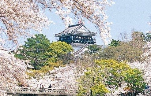 森林と歴史が息づく街