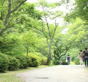 快適な都心直結と美しい緑の街