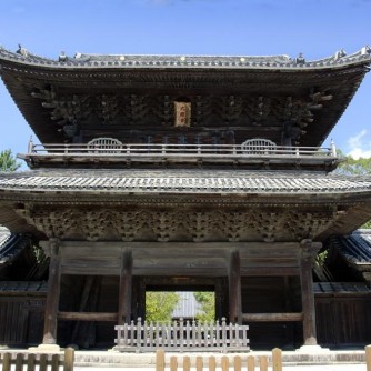 【大樹寺】
大樹寺は松平家・徳川将軍家の菩提寺として知られ、岡崎城と大樹寺を結ぶ約3kmの「ビスタライン」は長年守られてきた歴史的景観です。休日には家族で散策し、歴史に触れる豊かな時間を過ごせます。