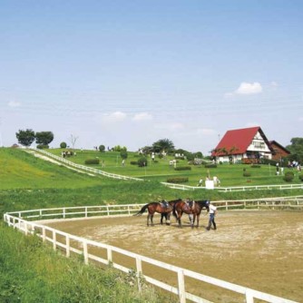 【愛知牧場】
乳搾りや引き馬体験など、都会では味わえない楽しみが満載。遊具やBBQなどもできるので、ご家族でのお出かけにピッタリ。