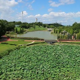 【あいち健康の森公園】
緑豊かな自然と健康づくりをテーマにした広大な公園です。園内には四季折々の草花が楽しめる庭園や、本格的なスポーツ施設、小さなお子様が夢中になれる大型遊具が充実しています。健康づくりを目的としたウォーキングコースも整備されており、世代を問わず多くの市民が訪れる憩いの場です。日常から離れ、美しい自然の中で心身ともにリフレッシュできる、地域にとってかけがえのない宝物のような公園です。