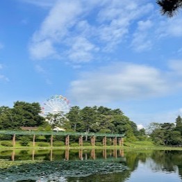 【岡崎南公園】
現在はリニューアル工事のため2027年4月まで一時閉園中ですが、葵梅林や芝生広場は利用可能です。再整備後は、屋根付き広場や屋内遊戯施設が新設され、全天候型で楽しめる家族の拠点へと生まれ変わります。