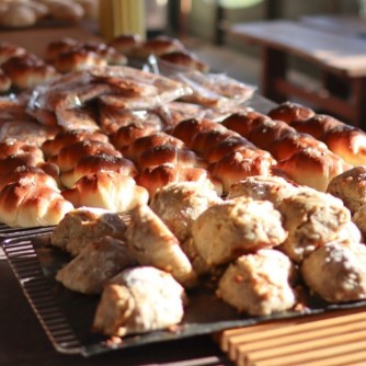 【ダーシェンカ・菜】
緑豊かな公園のそばに佇む、石窯パンの名店「ダーシェンカ・菜」があります。 
低農薬、オーガニックなどの国産小麦を使用し、手作りの石窯でじっくり焼き上げられたパンは、噛むほどに素材の甘みが広がる本格派。併設されたカフェスペースでは、穏やかな光を感じながら焼きたての香りに包まれる贅沢な時間を過ごせます。