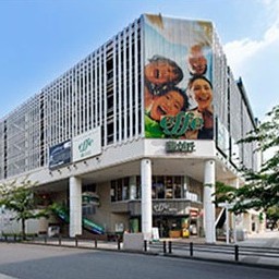 【藤が丘effe】
「藤が丘」に隣接するエフは、洗練された日常を支える駅ビルの象徴です。成城石井をはじめとする高品質な食材店や、暮らしを彩る雑貨店、カフェが揃い、仕事帰りや休日のひと時を豊かに演出します。利便性と質の両立を求める人々に愛される、この街の「心地よい暮らし」の玄関口のような場所です。
