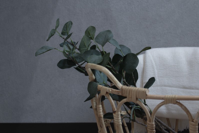 大須を庭にする。
都会的で軽やかな週末。