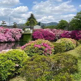【幸田町中央公園】
「今日は公園で遊ぼう！」そんな声が日常になるのが、幸田町中央公園のある暮らしです。広大な芝生広場や、子どもたちが夢中になる大型遊具、そして夏には涼やかな水遊び。ここは、家の中だけでは収まりきらない家族のエネルギーを、思い切り解放できる場所です。
休日にピクニックを楽しんだり、夕暮れ時にウォーキングをしたり。多目的グラウンドやテニスコートも隣接し、世代を問わず「心地よい汗」を流せる環境が整っています。
