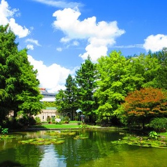 【久屋大通庭園フラリエ】
一歩足を踏み入れれば、そこには都市の喧騒を忘れさせる異国情緒あふれる空間が広がります。計算された植栽の配置や、水面に映る建築のシルエット。光と影、そして自然が織りなす「空間のレイヤー」を五感で堪能できる、最も身近なインスピレーションの源です。
季節ごとに表情を変える庭園の「余白」に身を置き、自分たちだけの贅沢な時間が日常の一部になります。